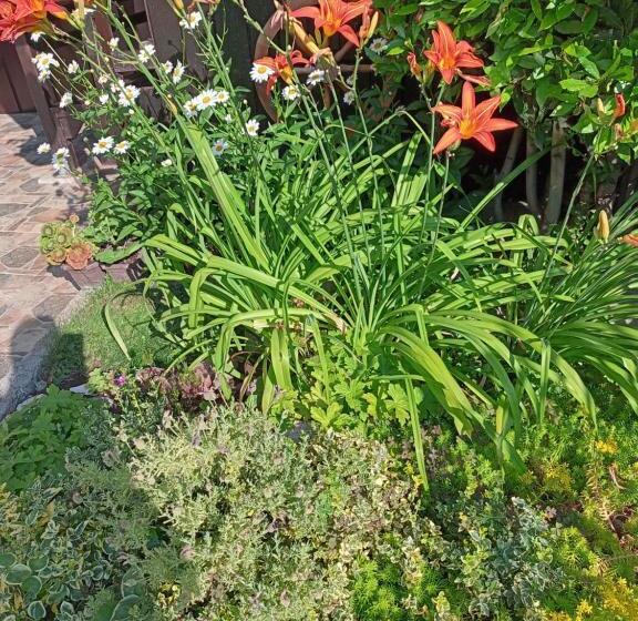 غرفة قياسية, Guest House Kotva