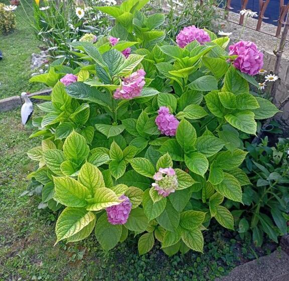 غرفة قياسية, Guest House Kotva