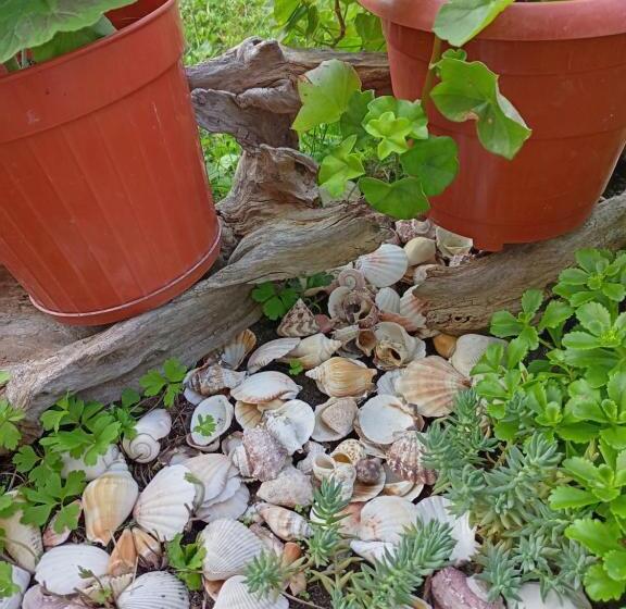 غرفة قياسية, Guest House Kotva