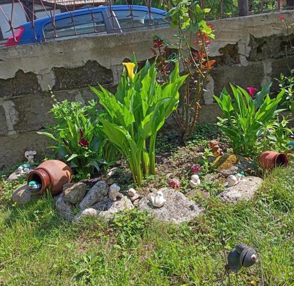 شقة غرفة واحدة مزودة بتراس, Guest House Kotva