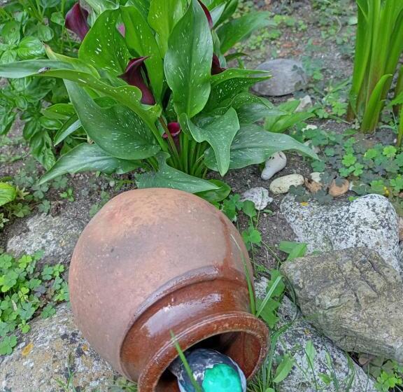 شقة غرفة واحدة مزودة بتراس, Guest House Kotva