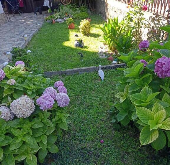 غرفة ديلوكس, Guest House Kotva