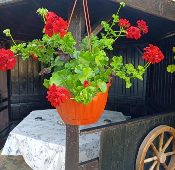 غرفة ديلوكس, Guest House Kotva