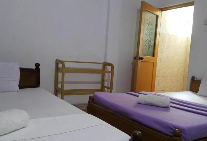 חדר אקונומי לשלושה, Monkey Hostel