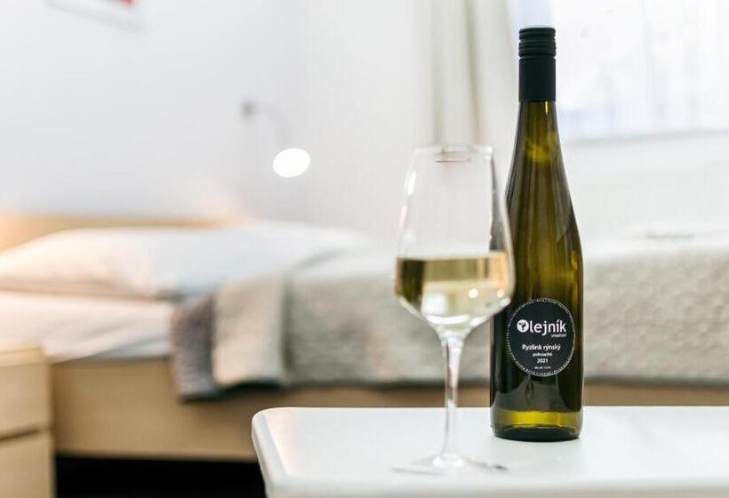 اتاق استاندارد, Penzion šaldorf