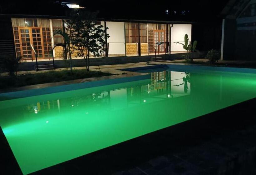 اتاق استاندارد, Tiktoker Lodge