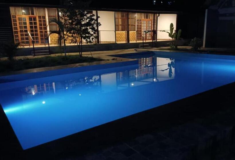 اتاق استاندارد, Tiktoker Lodge