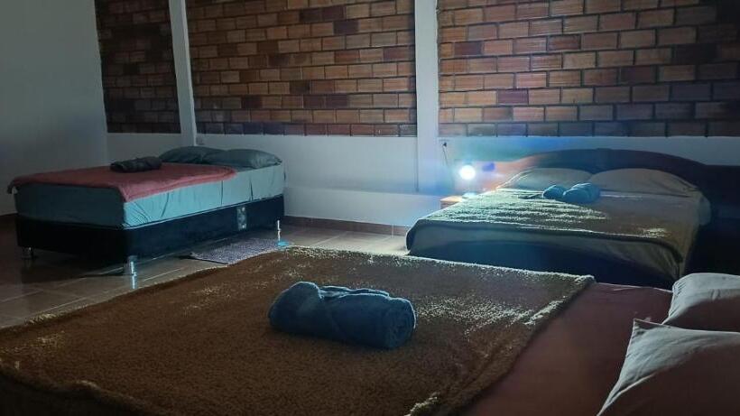 اتاق استاندارد سه تخته با چشمانداز استخر, Tiktoker Lodge