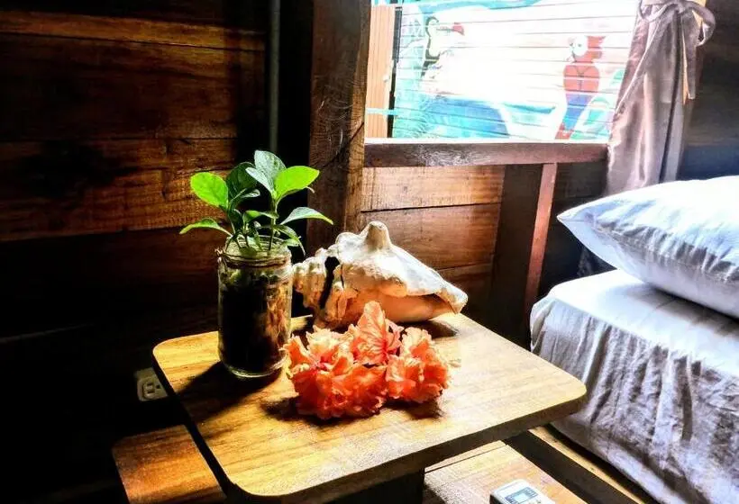 Comfort-huone, El Jaguar
