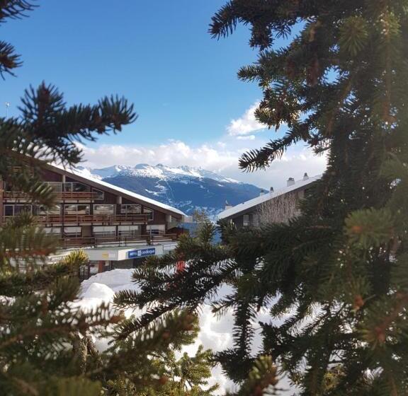 Номер Стандарт с Койками Совместная Ванная, Holidays Groupes Anzère