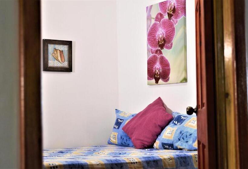 غرفة قياسية, Ito Del Mar   Main Street