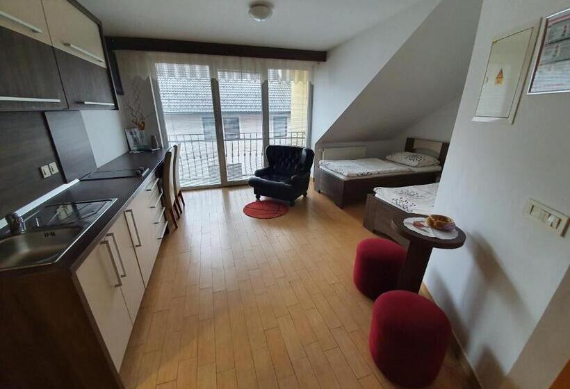 استودیوی لوکس, Hostel Novak