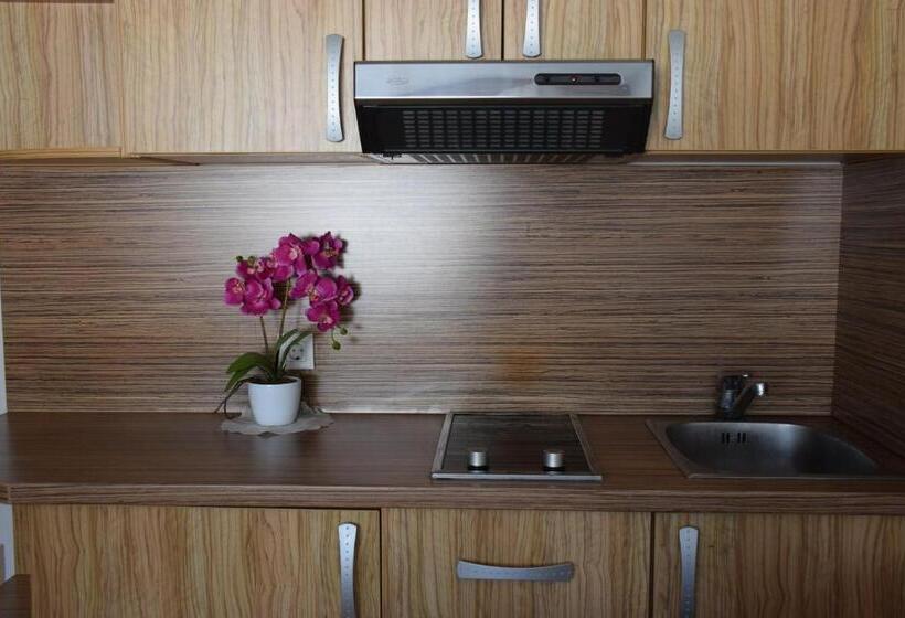 اتاق استاندارد سه نفره, Hostel Novak