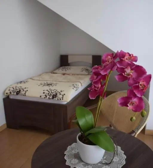 اتاق استاندارد سه نفره, Hostel Novak