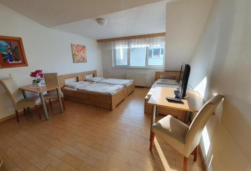 اتاق استاندارد سه نفره, Hostel Novak