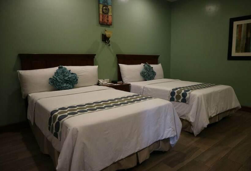 غرفة بريميوم, Paragon Hotel And Suites