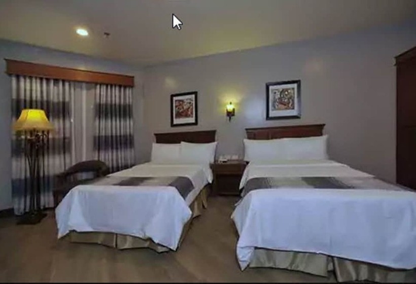 高级客房, Paragon Hotel And Suites