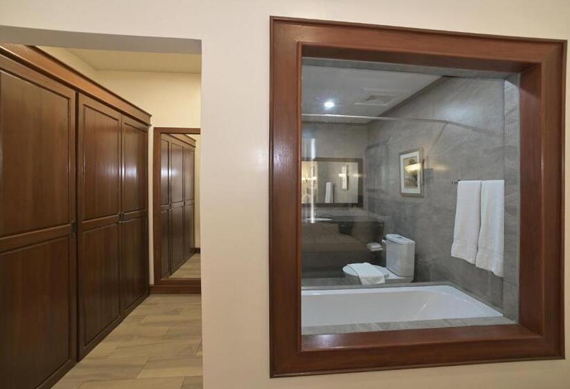 小型套房, Paragon Hotel And Suites