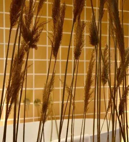 اتاق لوکس, Maison Soleil