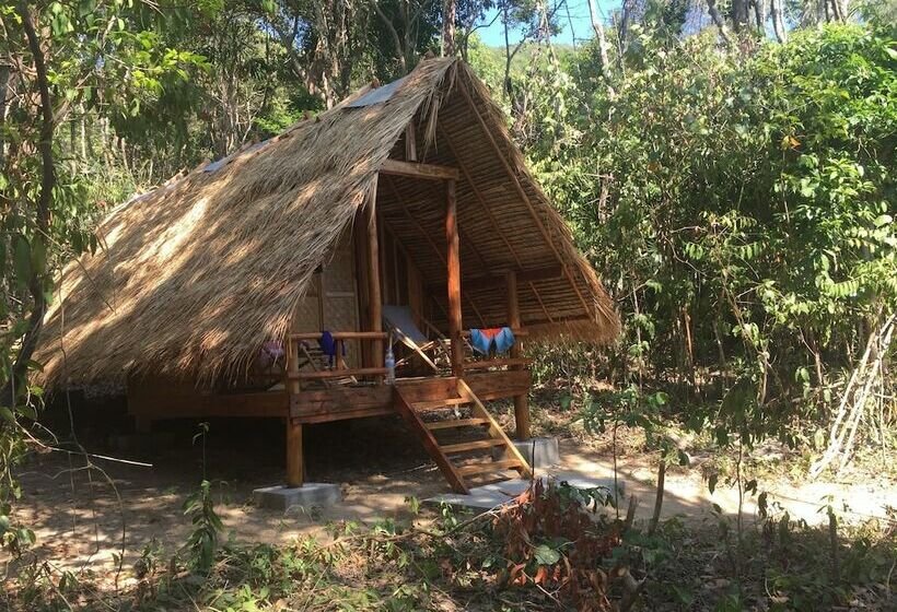 标准平房, Robinson Bungalows