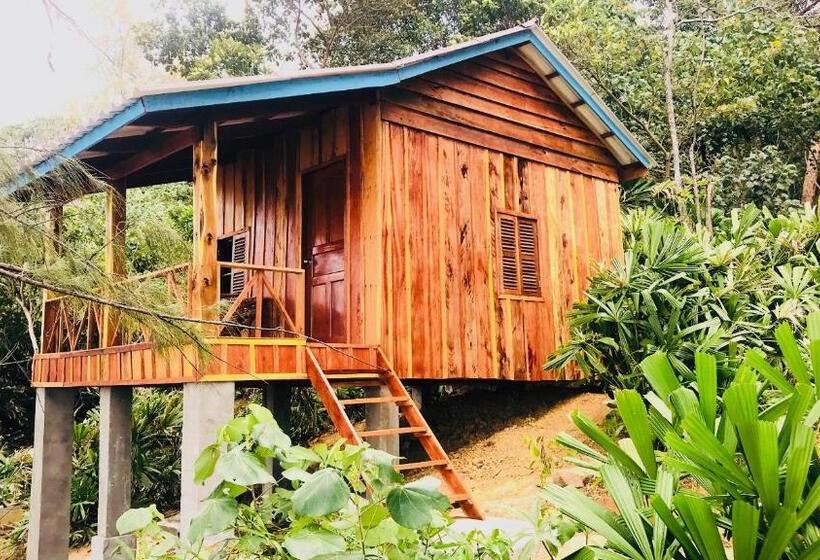 标准平房, Robinson Bungalows