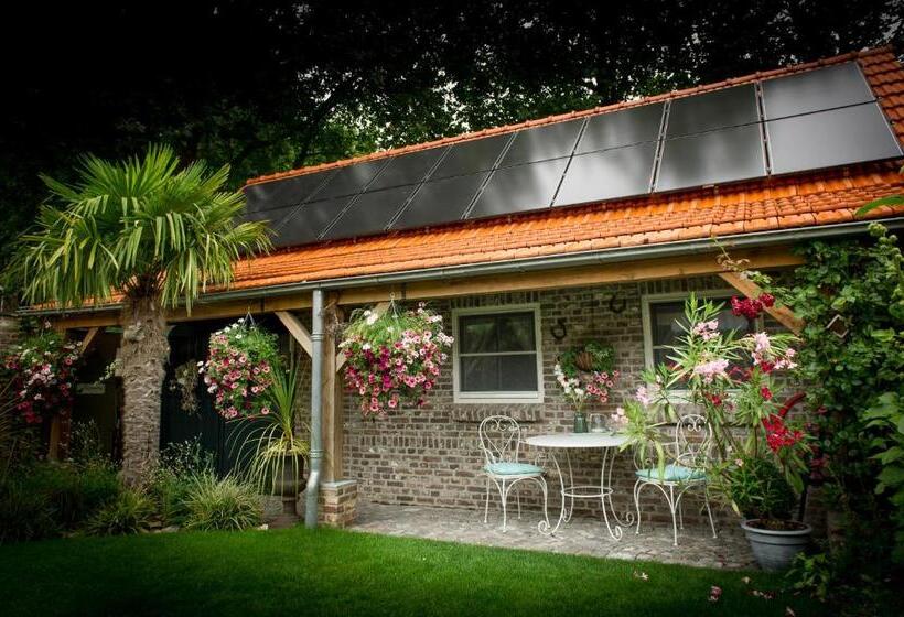 اتاق لوکس, Bed And Breakfast Piekoo Belloo