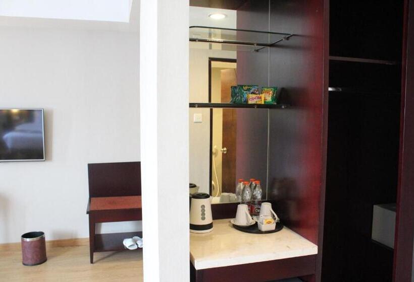 جناح جونيور, Asialink Premier