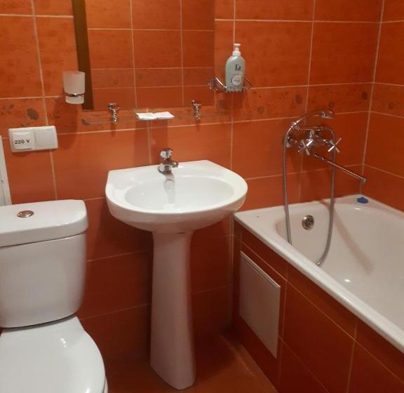 اتاق استاندارد, Dniprovski Zori