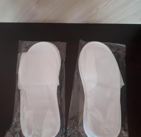 سوئیت با تخت بزرگ, Dniprovski Zori