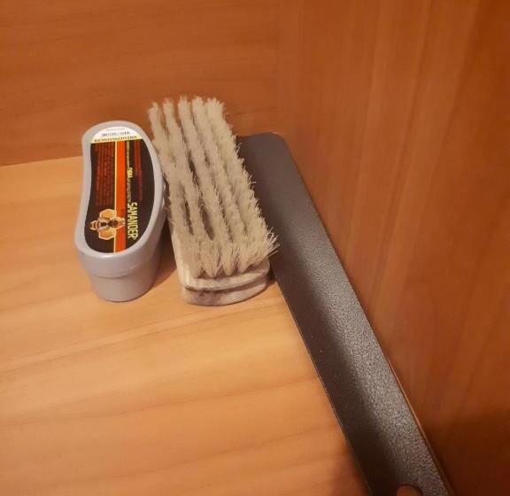 اتاق استاندارد یک نفره, Dniprovski Zori