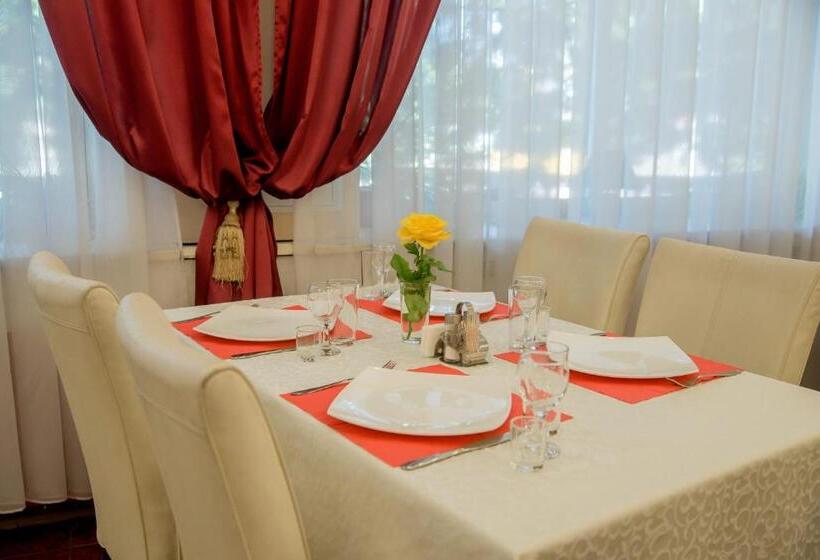 חדר דלוקס יחיד, Dniprovski Zori