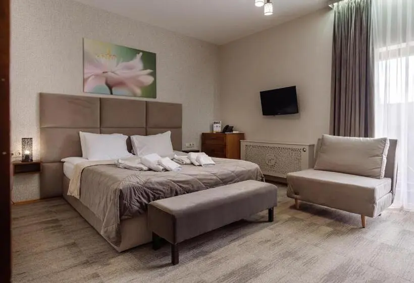 スタンダードルーム, Taor Karpaty Resort & Spa