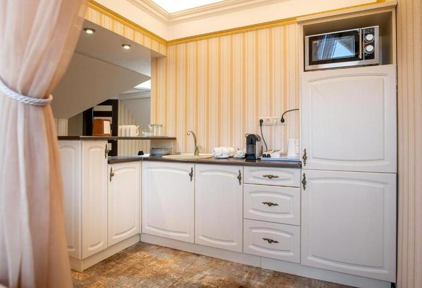 آپارتمان 1 خوابه, Kyivska Russ Resort Medical&spa