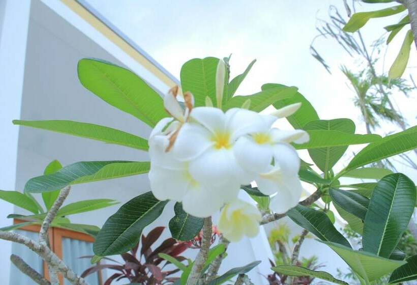 Номер Deluxe Вид на Море, Long Set Resort