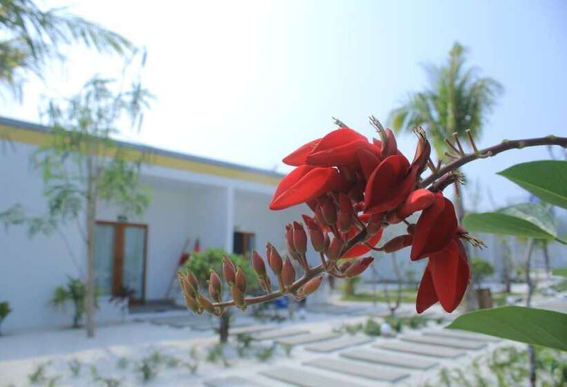 Номер Deluxe Вид на Бассейн, Long Set Resort