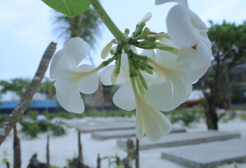 Номер Deluxe Вид на Сад, Long Set Resort