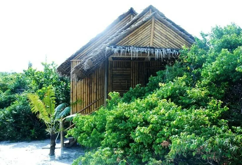 اتاق استاندارد با بالکن, Tree Bar Hostel