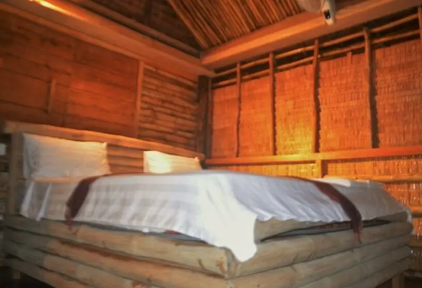 اتاق استاندارد با بالکن, Tree Bar Hostel