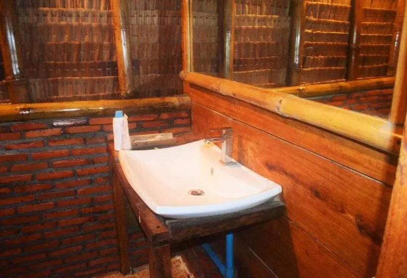 تختخواب در اتاق مشترک, Tree Bar Hostel