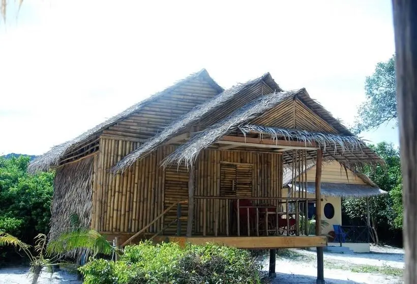 تختخواب در اتاق مشترک, Tree Bar Hostel