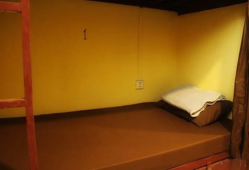 تختخواب در اتاق مشترک, Tree Bar Hostel