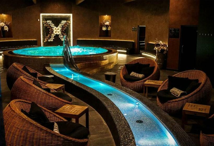 סוויטת ג'וניור, X Bionic