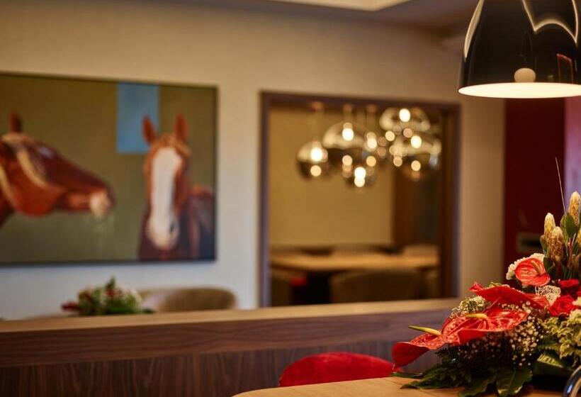 스탠다드 스튜디오, X Bionic