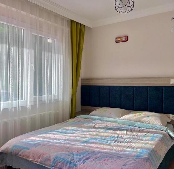 マウンテンビュースタンダードルーム, Fa Ba Apart Otel