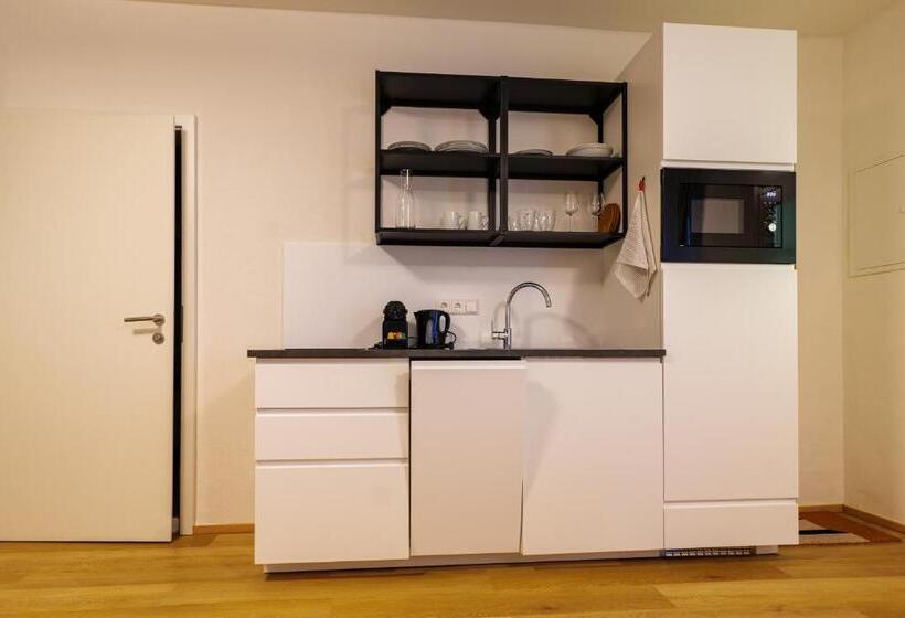 استودیوی سوپریور, Flataid Cityapart Graz Geidorf