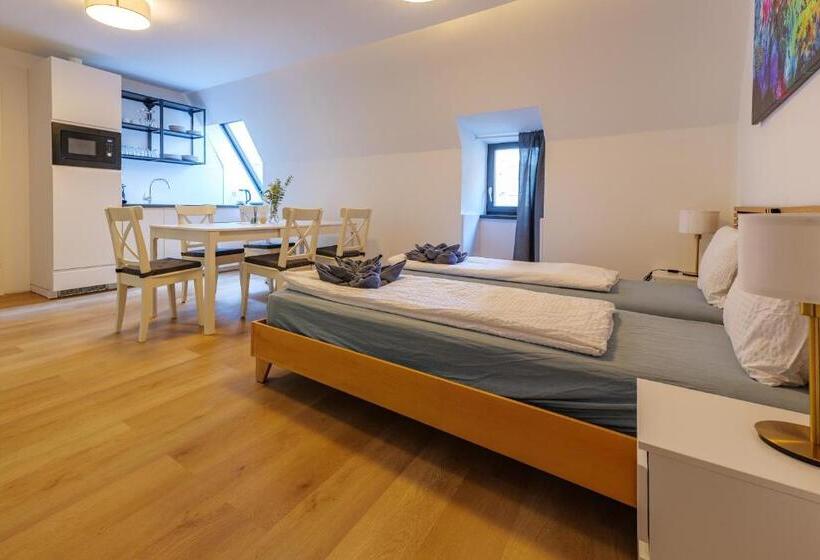 استودیو خانوادگی, Flataid Cityapart Graz Geidorf