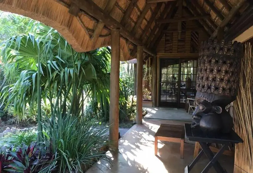 اتاق استاندارد, Afrikhaya Guest House
