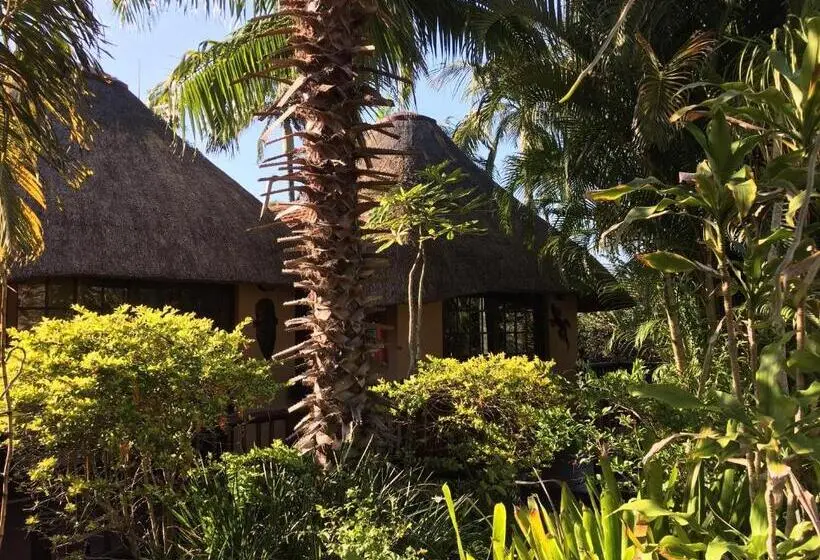 اتاق استاندارد, Afrikhaya Guest House