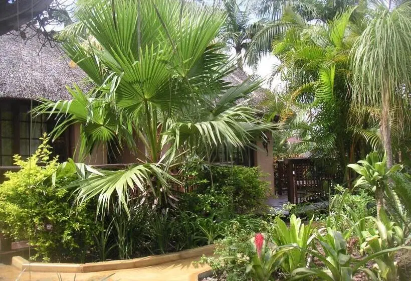 اتاق استاندارد, Afrikhaya Guest House