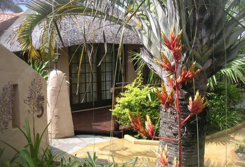 اتاق استاندارد, Afrikhaya Guest House